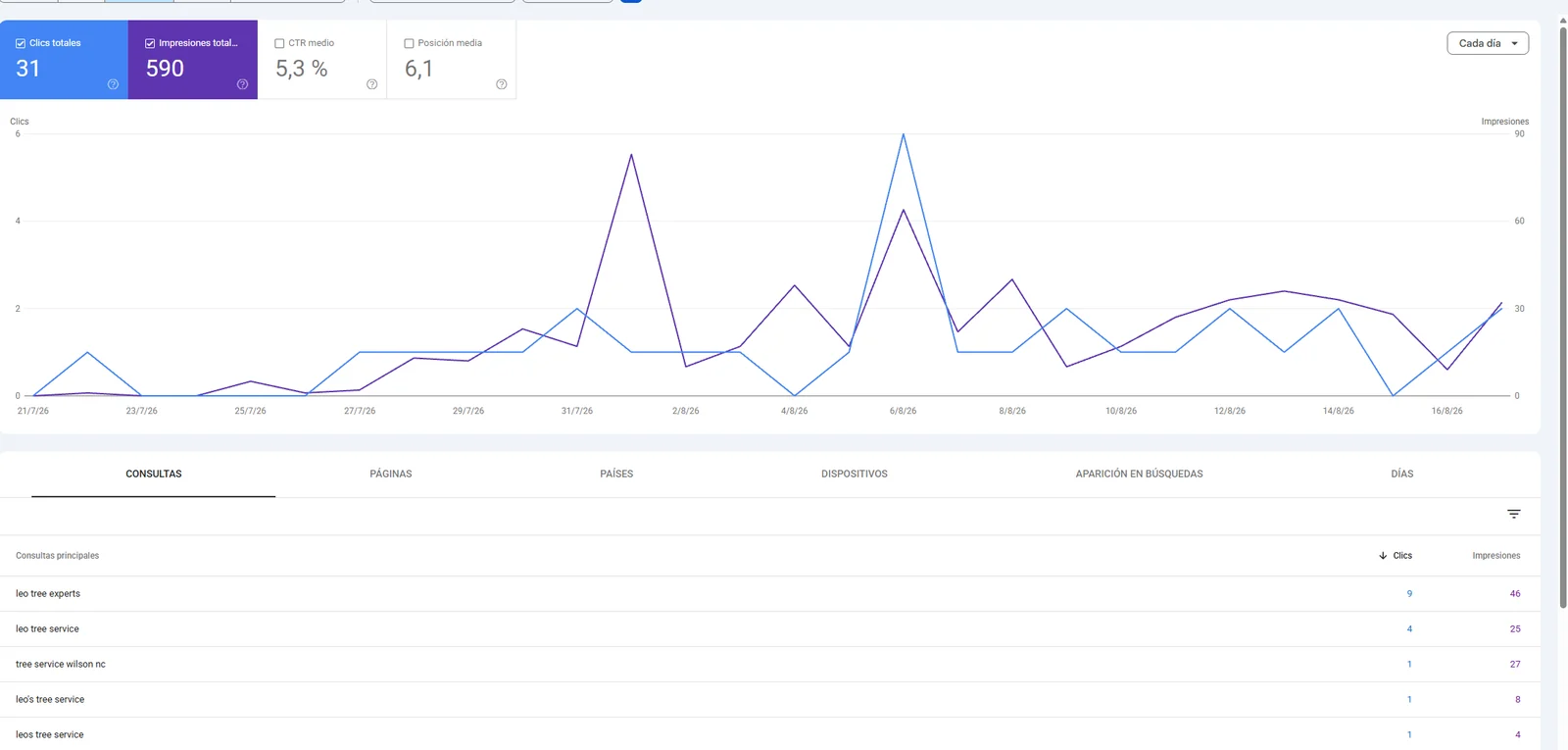 Google Search Console performance report for Leo Tree Experts: 31 clicks, 590 impressions, 5.3% CTR and average position 6.1.